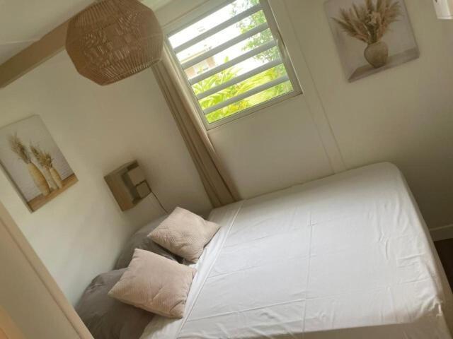 Villa Au Coeur Du Papillon Piscine Collective En Famille Goyave Habitación foto
